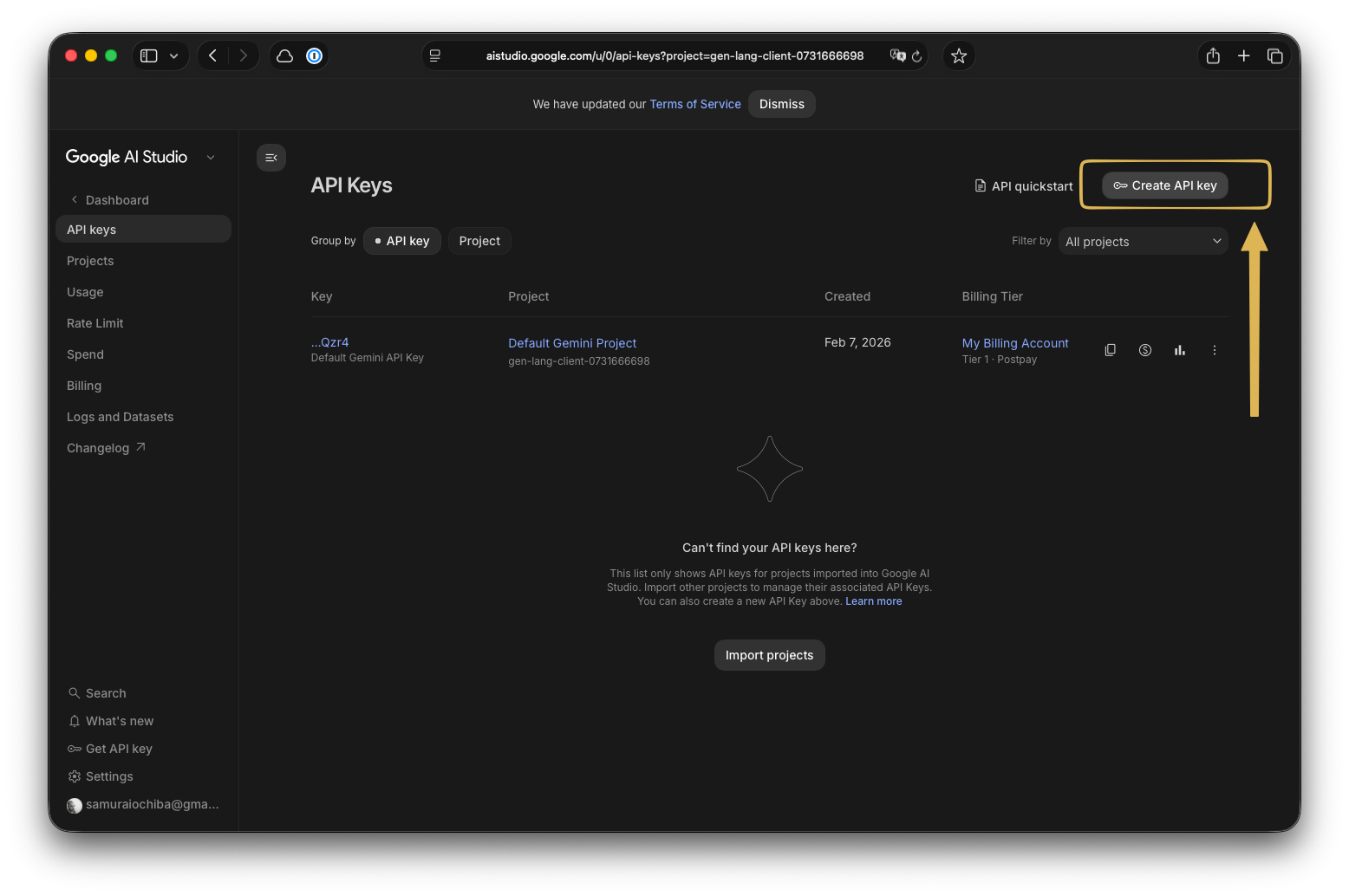 Google AI Studio API Keys dashboard
