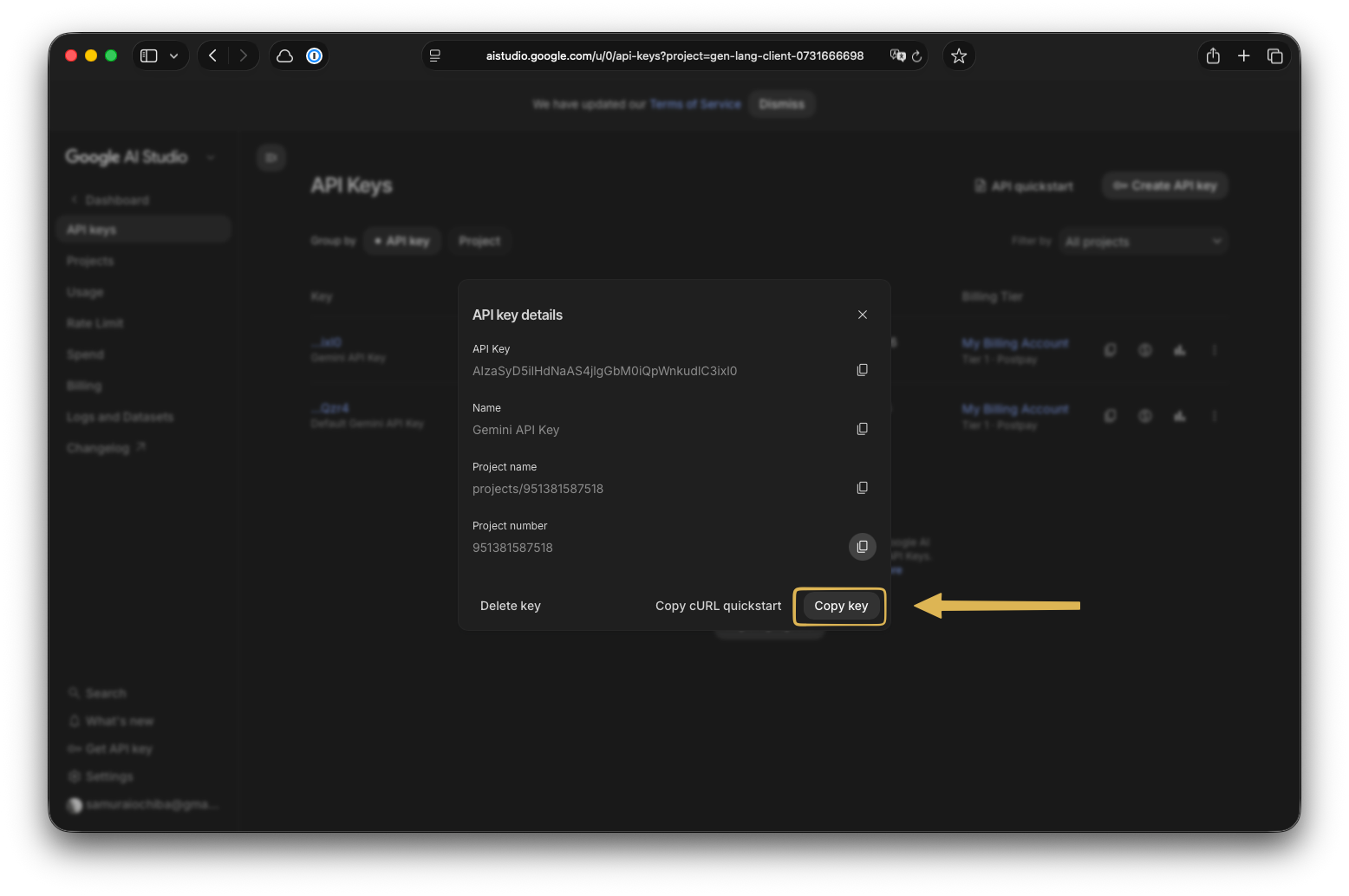 API key details with Copy key button