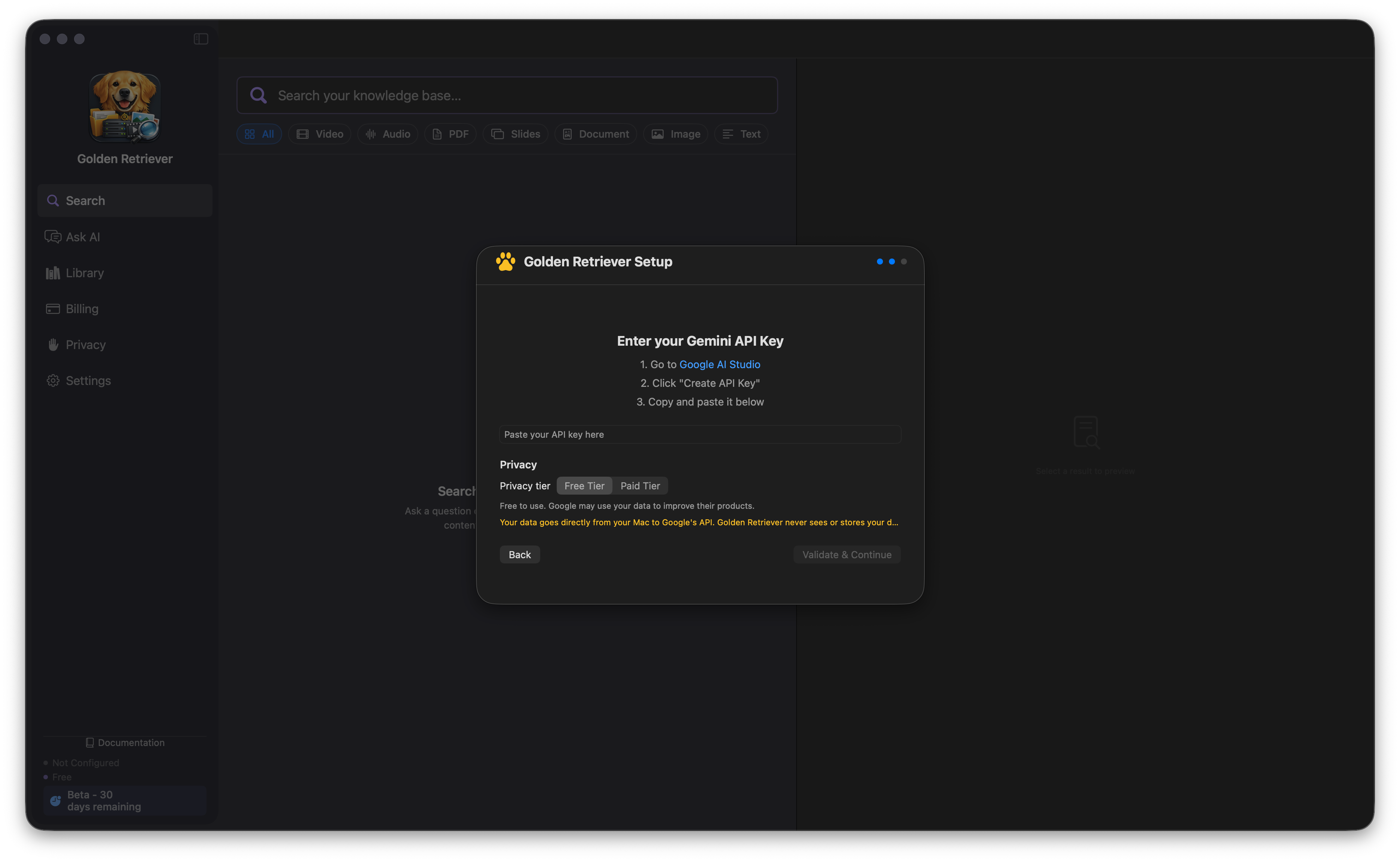 API key entry with Free Tier selected