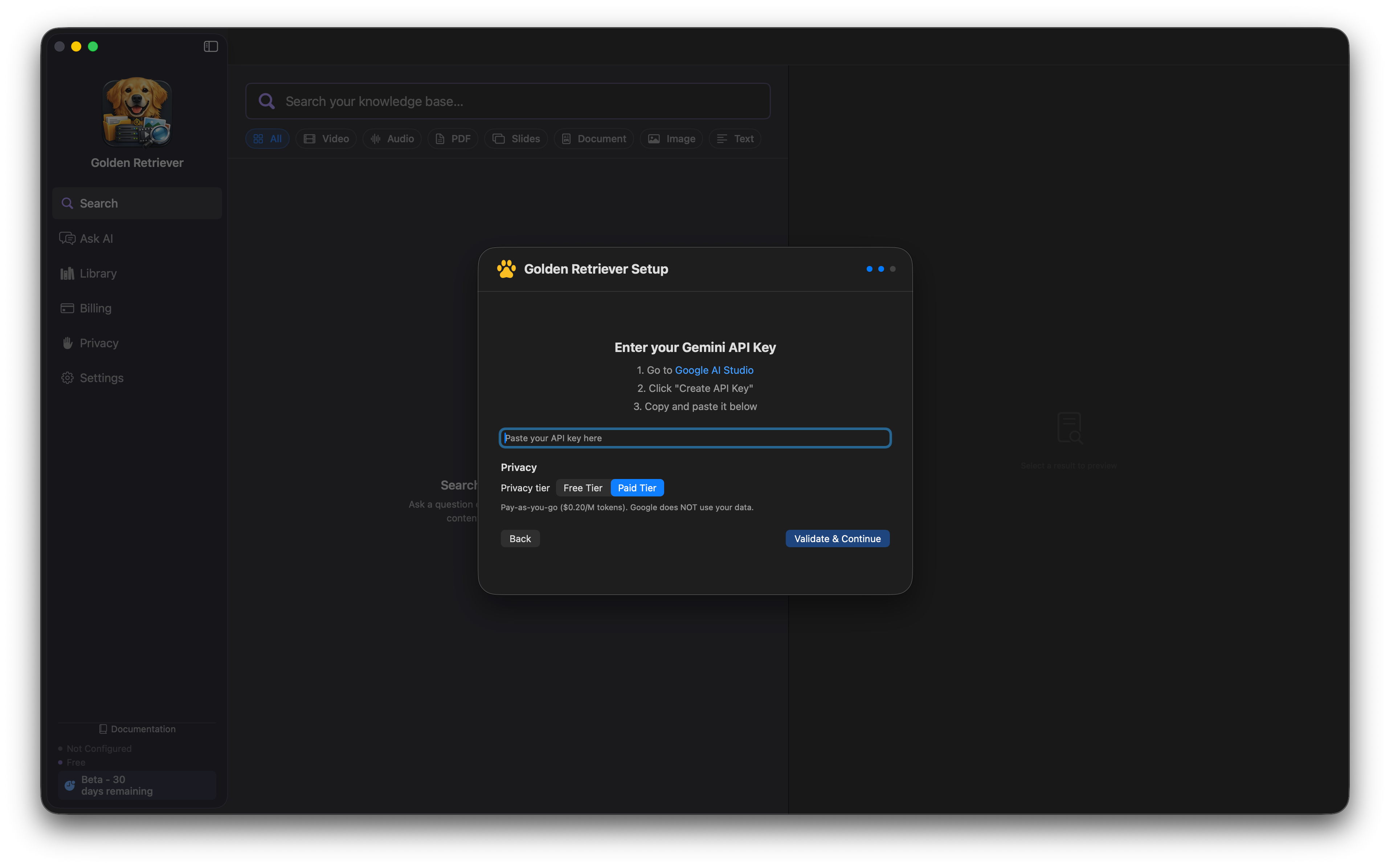 API key entry with Paid Tier selected